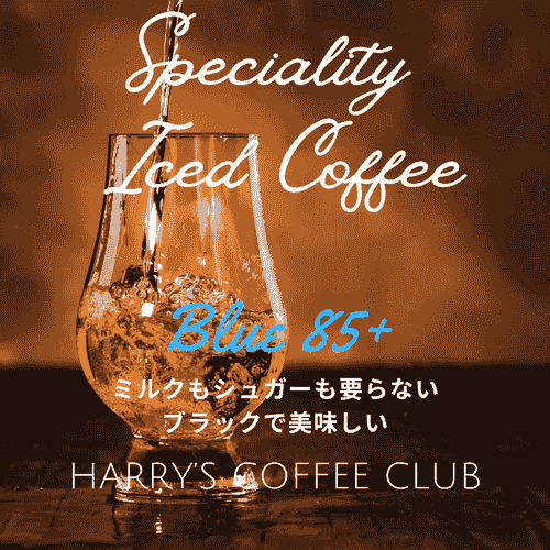 【アイス・コーヒー始めました。汗のにじむ日は、ミルクも砂糖も要らない、水出しのスペシャルティのブラック・アイスコーヒーが、お勧めです】SICB-2500(30gx3パック、送料無料)