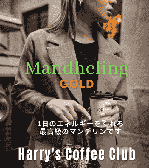 【1日のエネルギーをくれます。飲むと、他のマンデリンには戻れない、最高級のマンデリン、特別の美味しさを、是非お楽しみください】MGD100（100g、送料無料） 