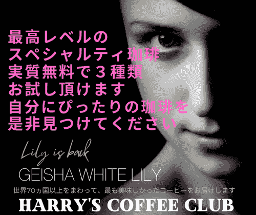 【実質無料で、お好きな3種類からじっくり試飲して、自分にぴったりの特別な珈琲を見つけられます(初回限定) 】DYS-60(2杯分x3種類/60g、送料無料)