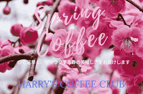 【2月増量キャンペーン中、希少なゲイシャ種のジャスミンをベースにとてもフローラルな、春らしい香りと味に仕上がりました】PBS-170 (170+20g、送料無料) 1 1