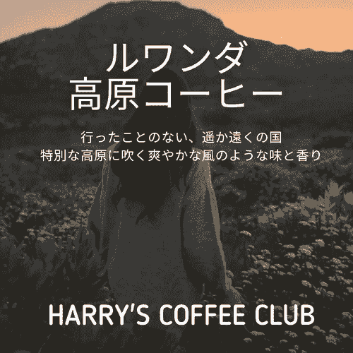 【5月のお勧め(3杯分増量)です。「高原へいらっしゃい」遥か遠い国の高原に吹く、爽やかな風のような味と香り。是非、お楽しみください】RHC-86(180+30g、送料無料) 1