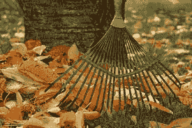 Planting And Leaf Raking 