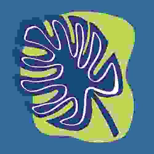 Abstract Monstera Plant