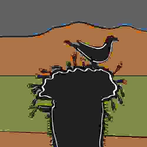 Blackbird in the Desert