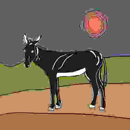 Burro in the Desert