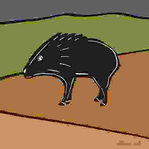 Javelina in the Desert