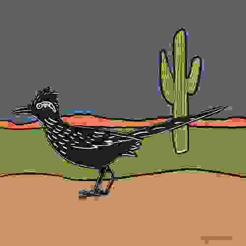 Roadrunner in the Desert