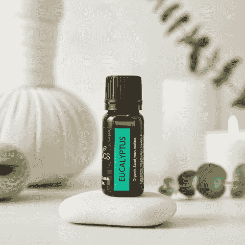 Oribi Organics - Eucalyptus Essential Oil