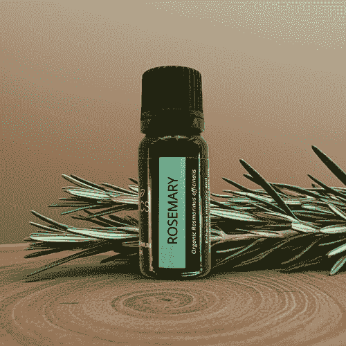Oribi Organics - Rosemary Essential Oil