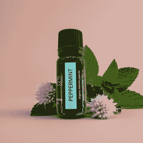 Oribi Organics - Peppermint Essential Oil
