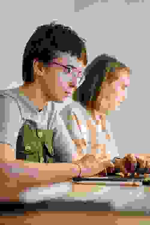 CEO Economics Olympiad Program