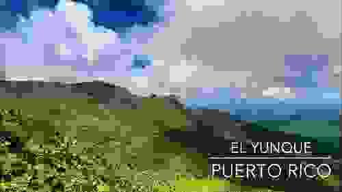 El Yunque & Luquillo Beach Combo