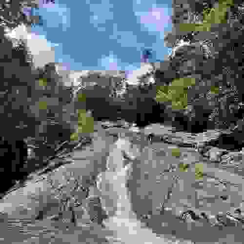 El Yunque River Adventure Tour