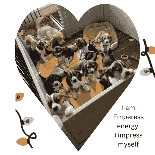 I Empress Myself