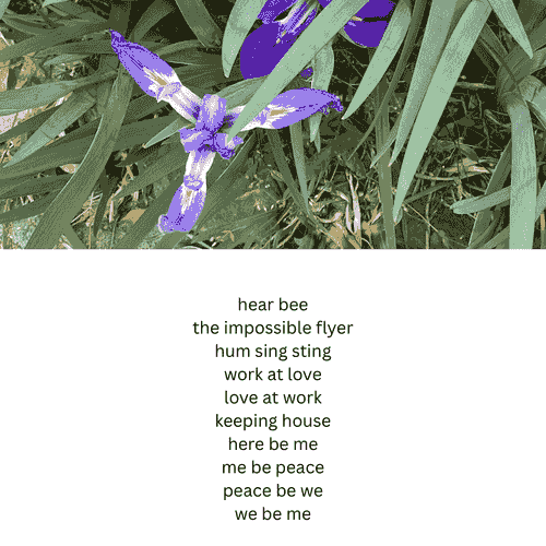 impossible flyer