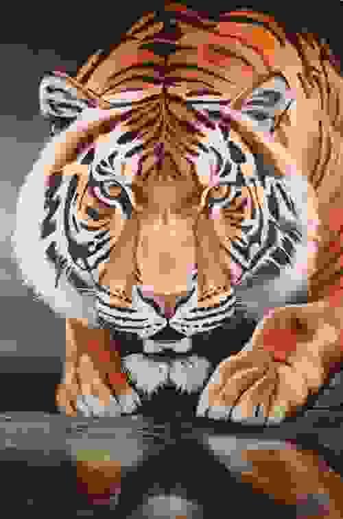 Crouching Tiger
