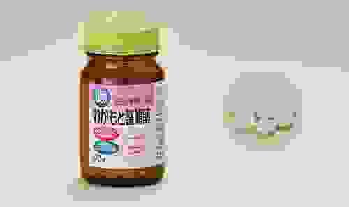 【日本直送】日本若素乳酸菌 整腸240粒 益生菌 改善腸道蠕動 便祕丸 脹脹宿便 大阪實體藥妝店直送