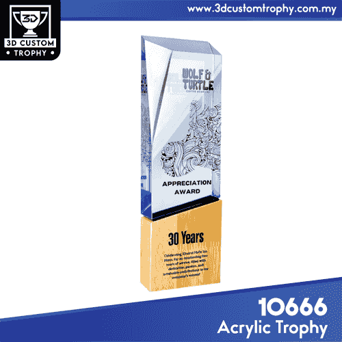 10666 Acrylic Trophy