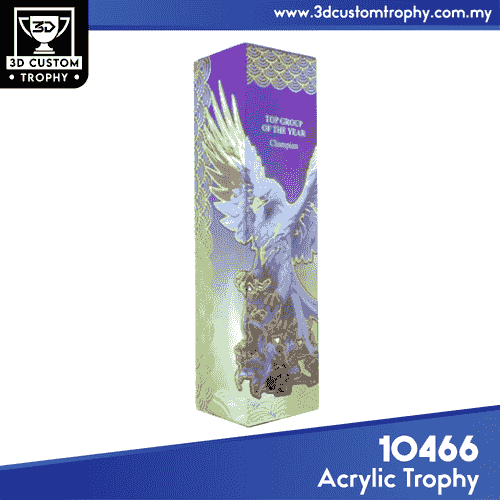10466 Acrylic Trophy