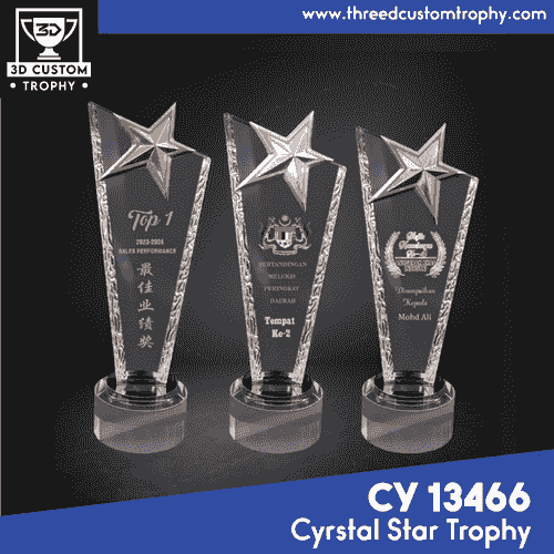 CY 13466 Crystal Star Trophy