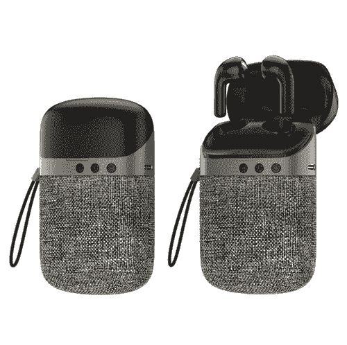 2 in 1 Wireless Speaker with TWS Earphone 