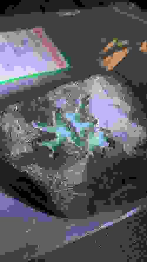 Multi-Purpose Cleaner