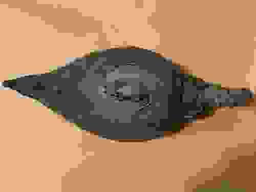 Organic Skincare Cream