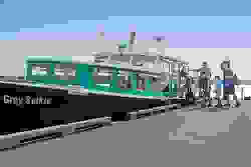 Camp Out at Saysutshun on Wed July 15 - Sun July 19, 2026