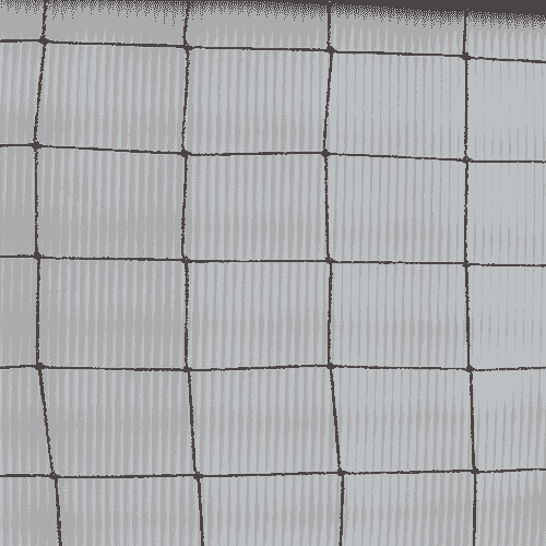 50mm×50mm Square Knotted Net with Flame Retardant for Bird Control