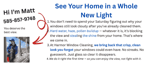 Exterior Window Cleaning