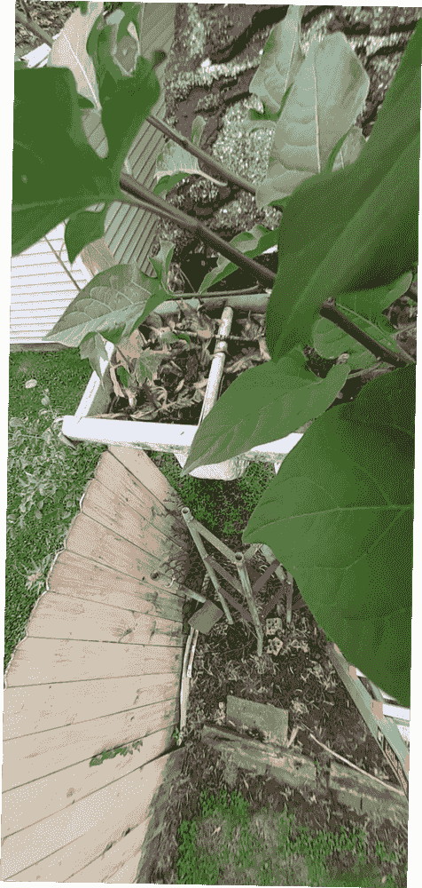 GUTTER CLEANING