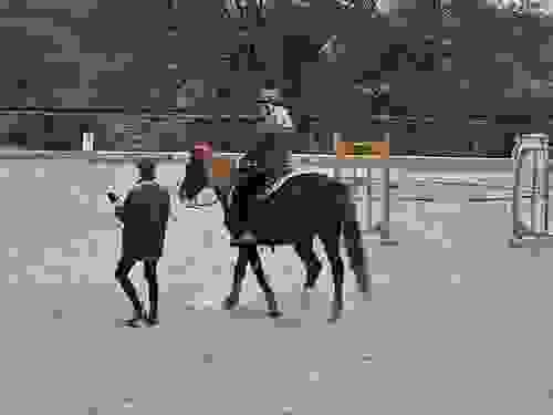 Therapeutic Riding (All Disciplines)