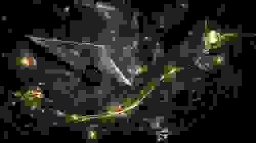 “The Moonlit Glade Ticket”