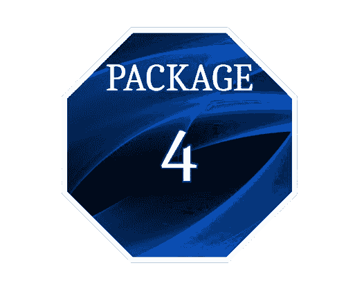 Package 4 Investment: $4,000 | Non-Refundable Deposit: $1,200