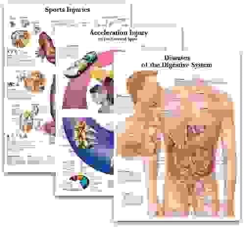 Science Anatomy Poster for Walls Medical Nursing Student Educational Anatomical Human Disease Poster