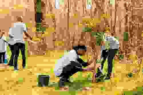 Crop Management Training
