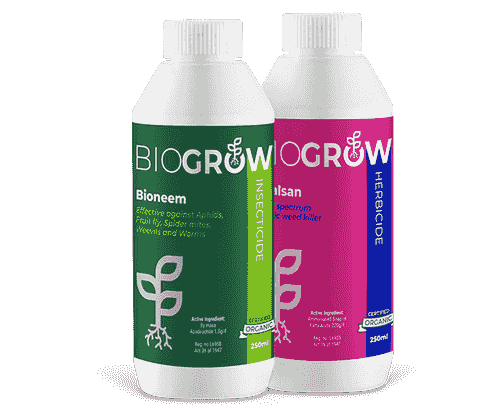 Eco-Friendly Insecticide