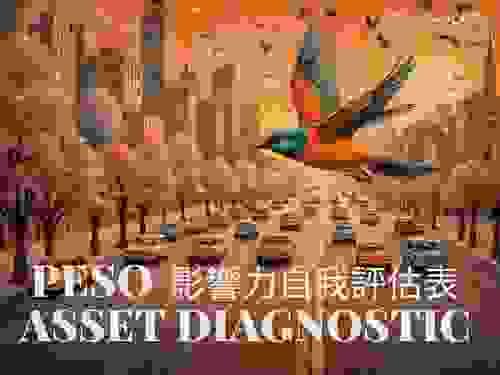PESO Asset Diagnostic for Business Owners