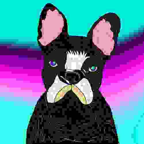 Illustrated PET portrait