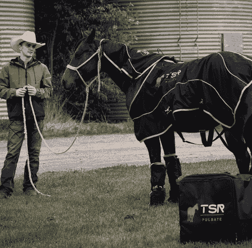 Full Body Coverage - Blanket, Neck/Poll, Leg Pieces Combo