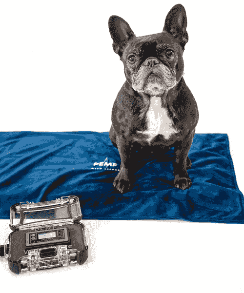 PEMF Mini Mat- 10 Coil 