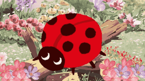 The Lady Bug Who Couldn't Count her Spots
