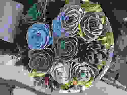 Succulents Plants
