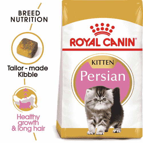 FBN KITTEN PERSIAN 2kg