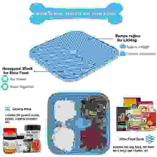 Pet slow feeder plate  