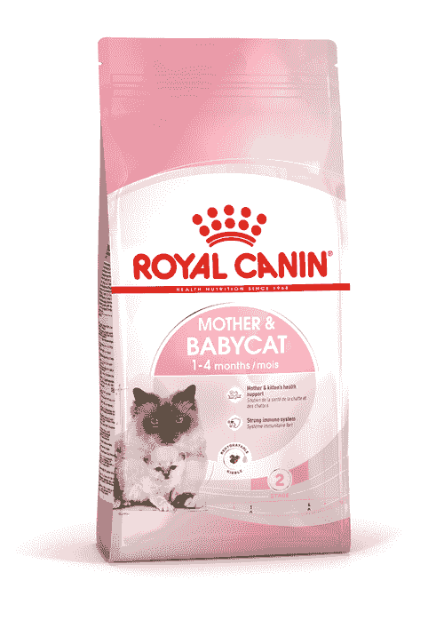 ROYAL CANIN MOTHER & BABYCAT 