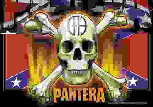 Pantera Flag