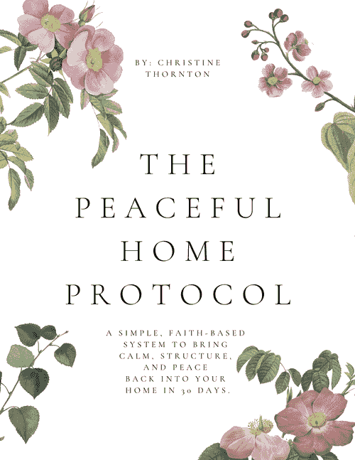 The Peaceful Home Protocol ebook