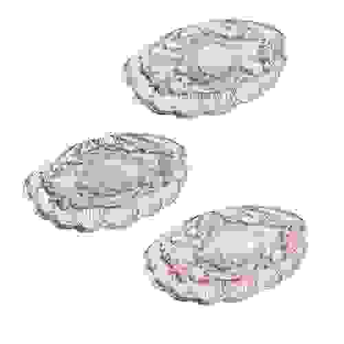 Shell's Jewel 6-Color Makeup Palette