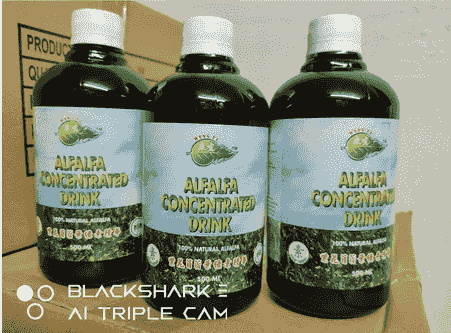 WENG YE康宜叶绿素 Liquid Alfalfa Chlorophyll Nutritional Drink(100% natural Afalfa)500ML